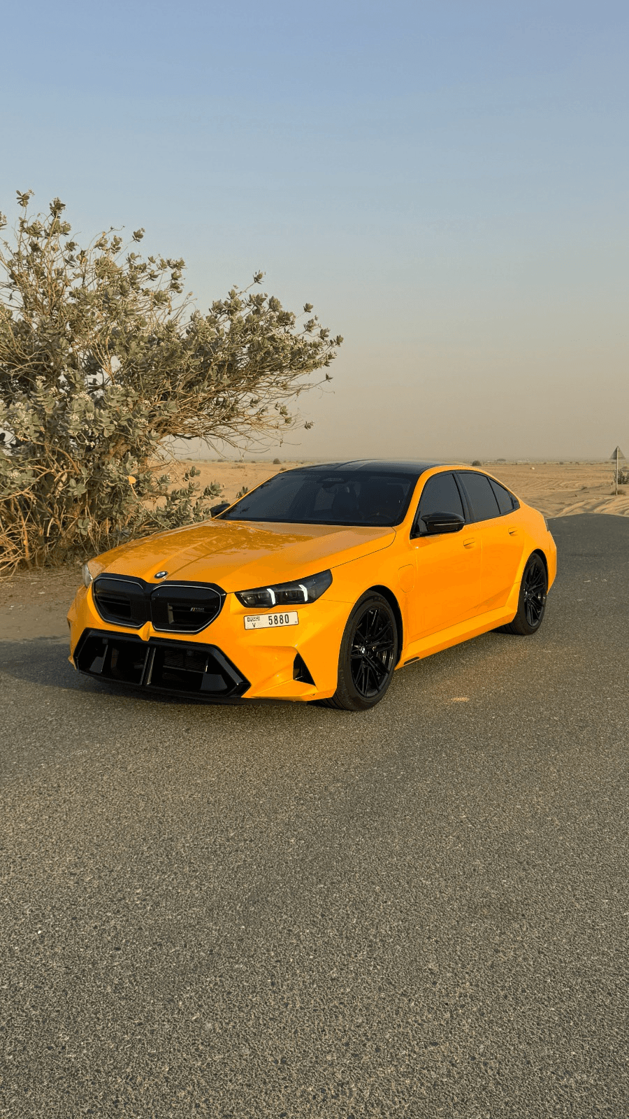 M5 G90 Yellow
